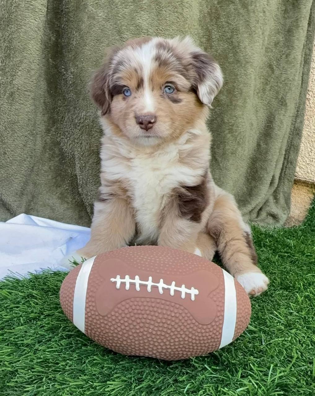 photo_1_2026-04-21_13-05-37