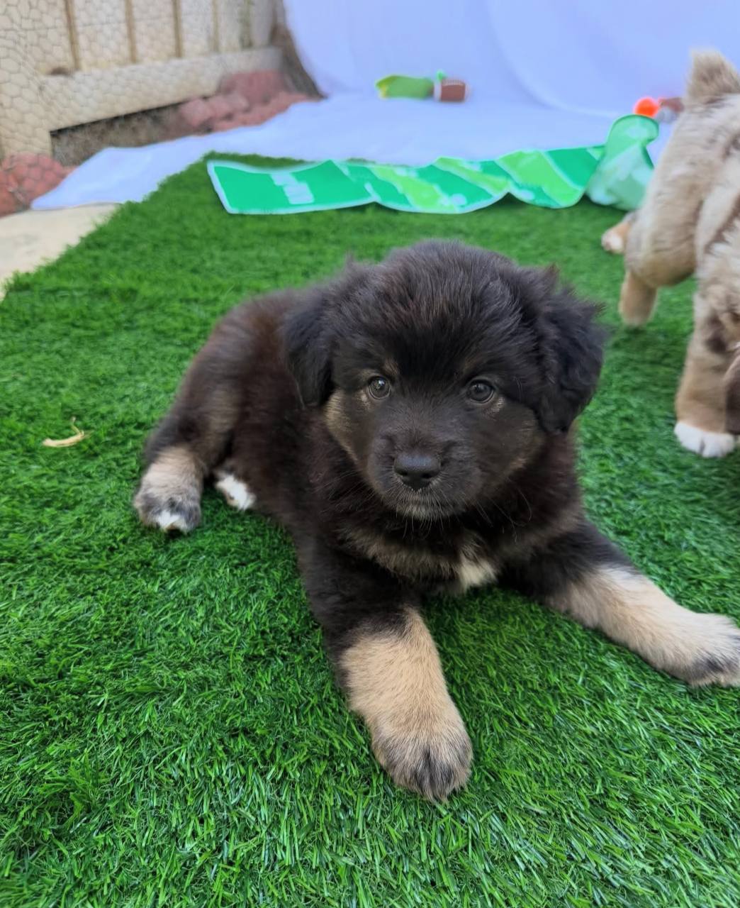 photo_1_2026-04-21_13-08-18