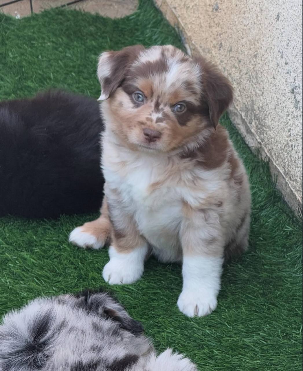 photo_1_2026-04-21_13-13-35