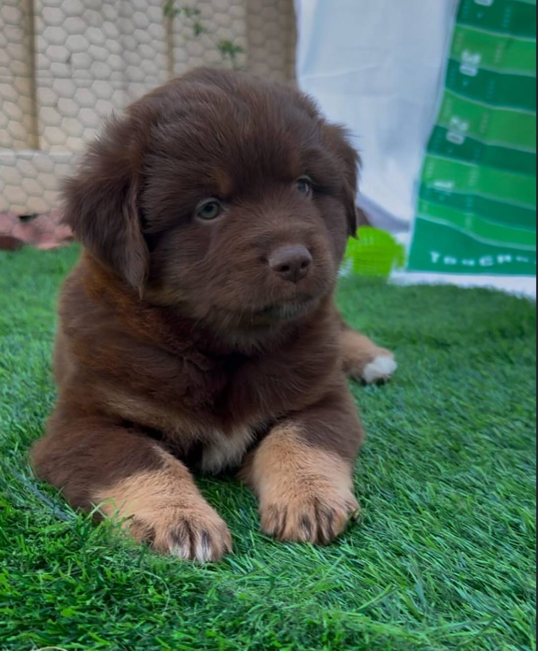 photo_1_2026-04-21_13-15-27