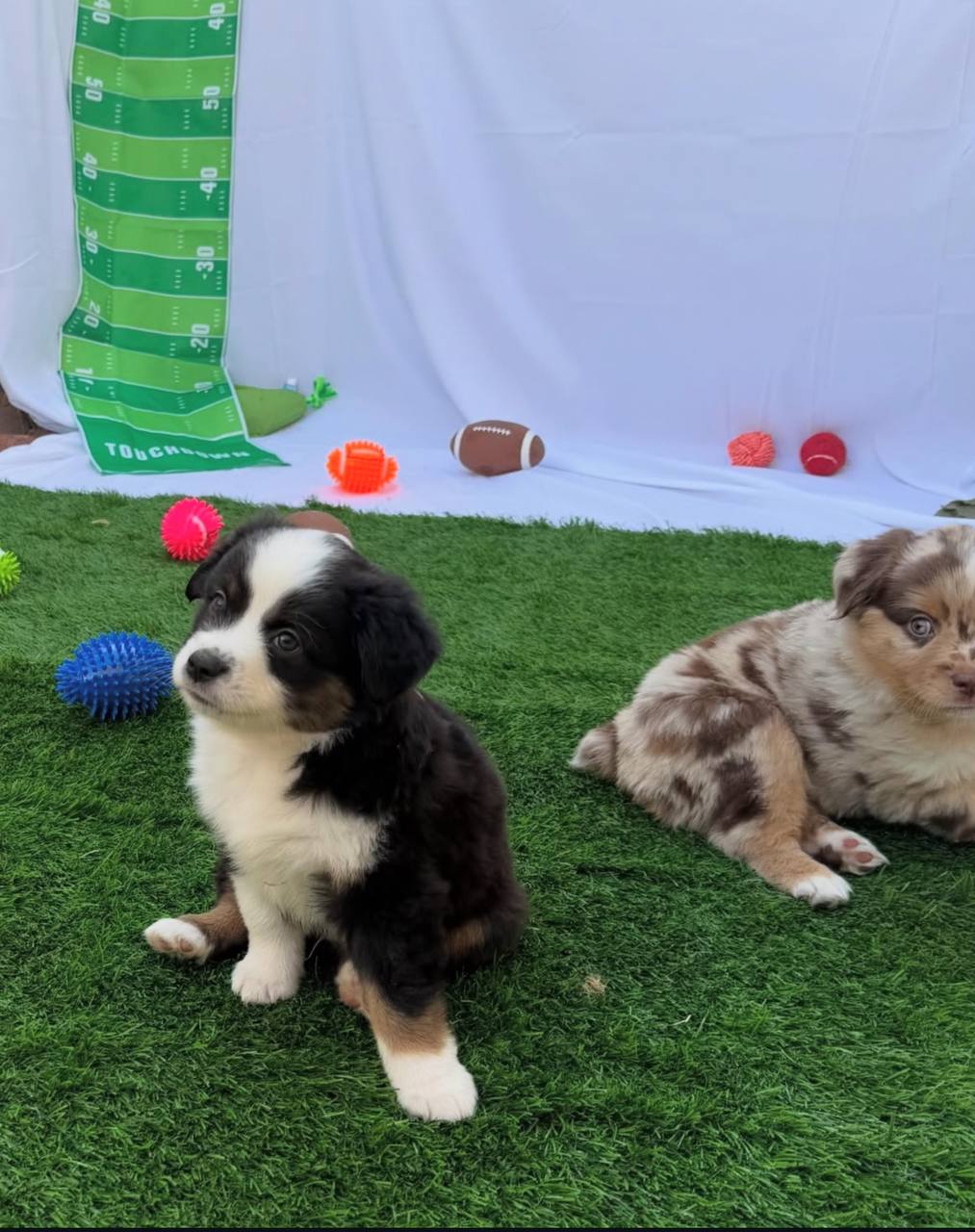 photo_1_2026-04-21_13-17-07