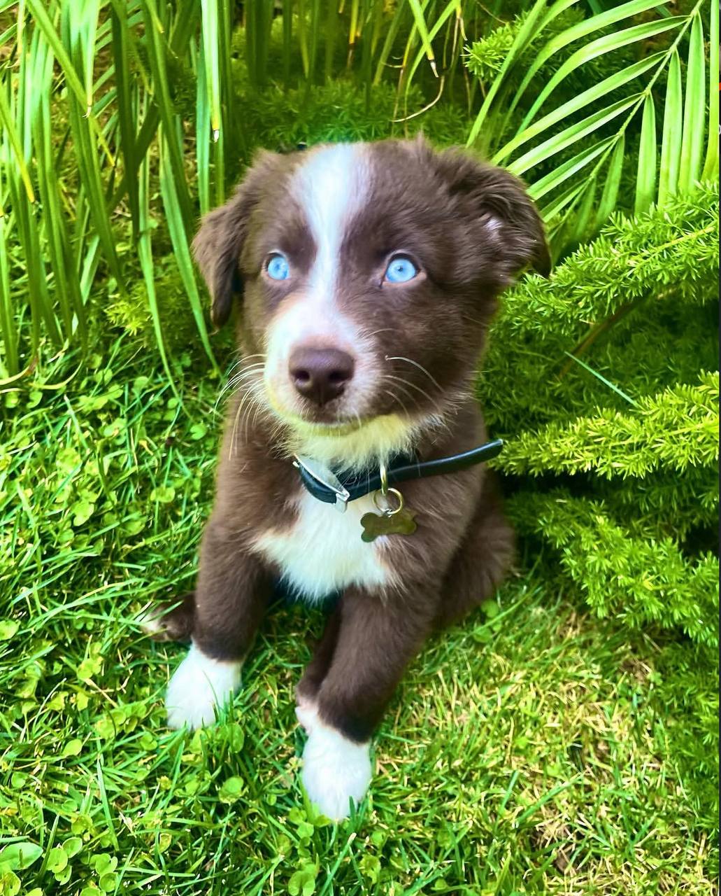 photo_1_2026-04-21_13-18-29