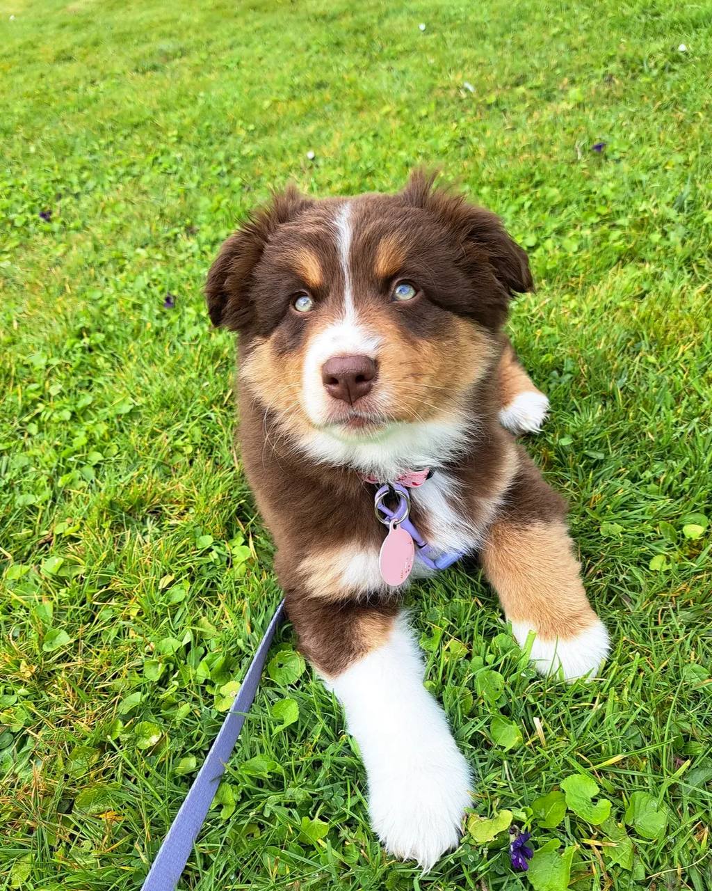 photo_1_2026-04-21_13-19-45
