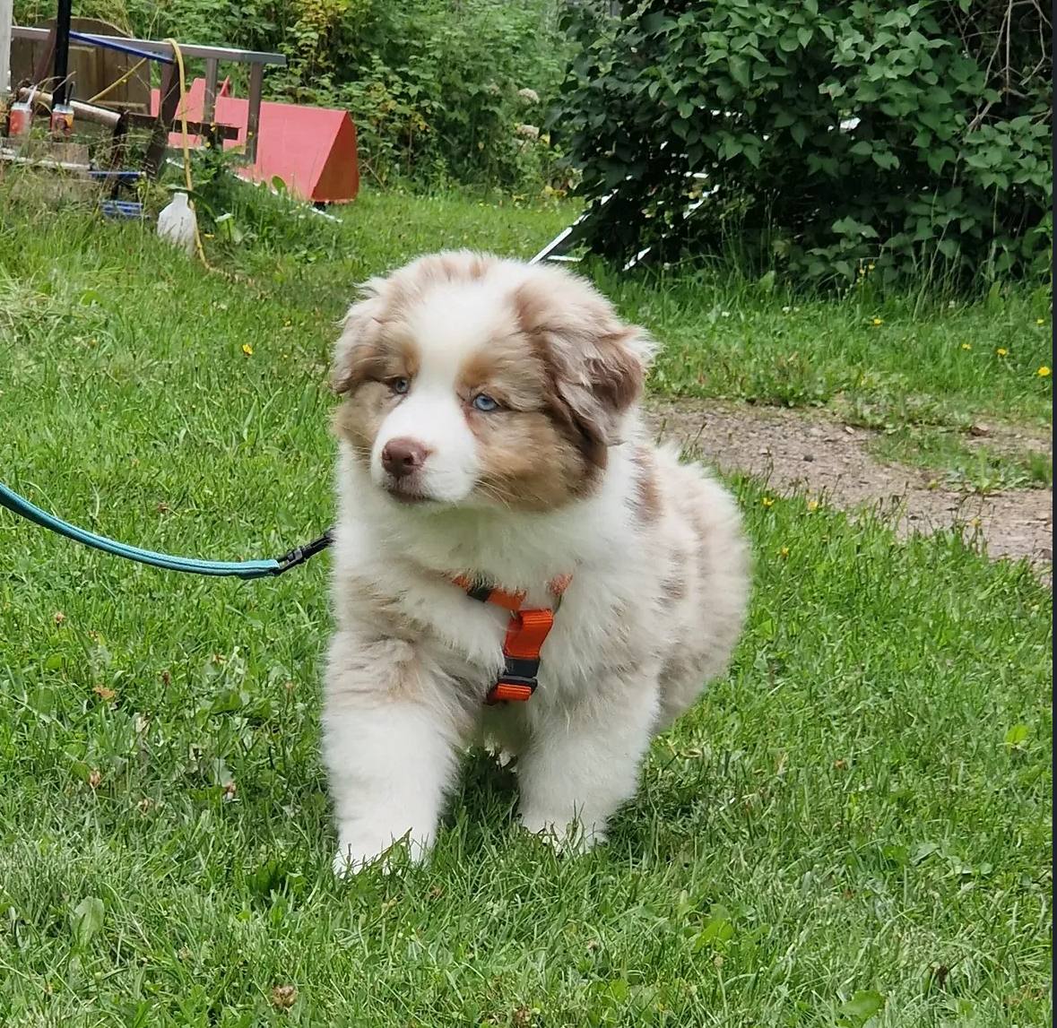 photo_1_2026-04-21_13-21-08