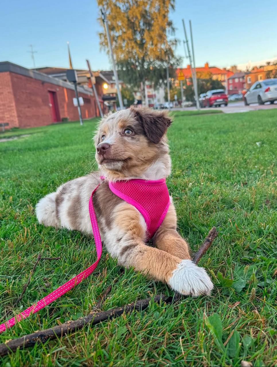 photo_1_2026-04-21_13-22-38