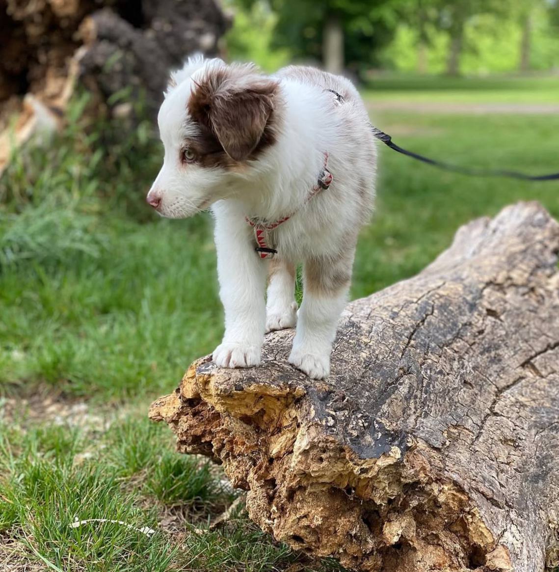 photo_1_2026-04-21_13-23-55