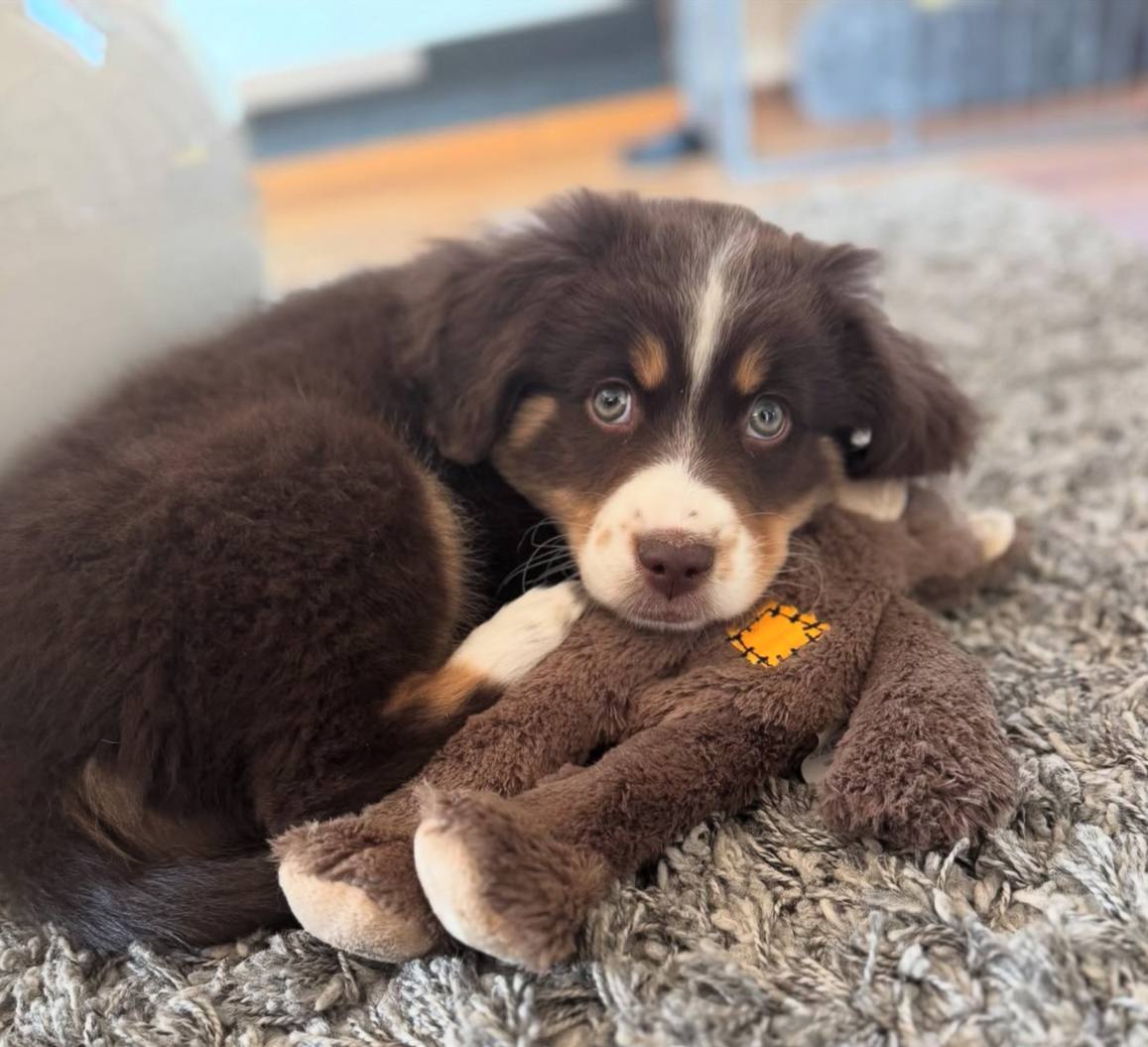 photo_1_2026-04-21_13-25-06