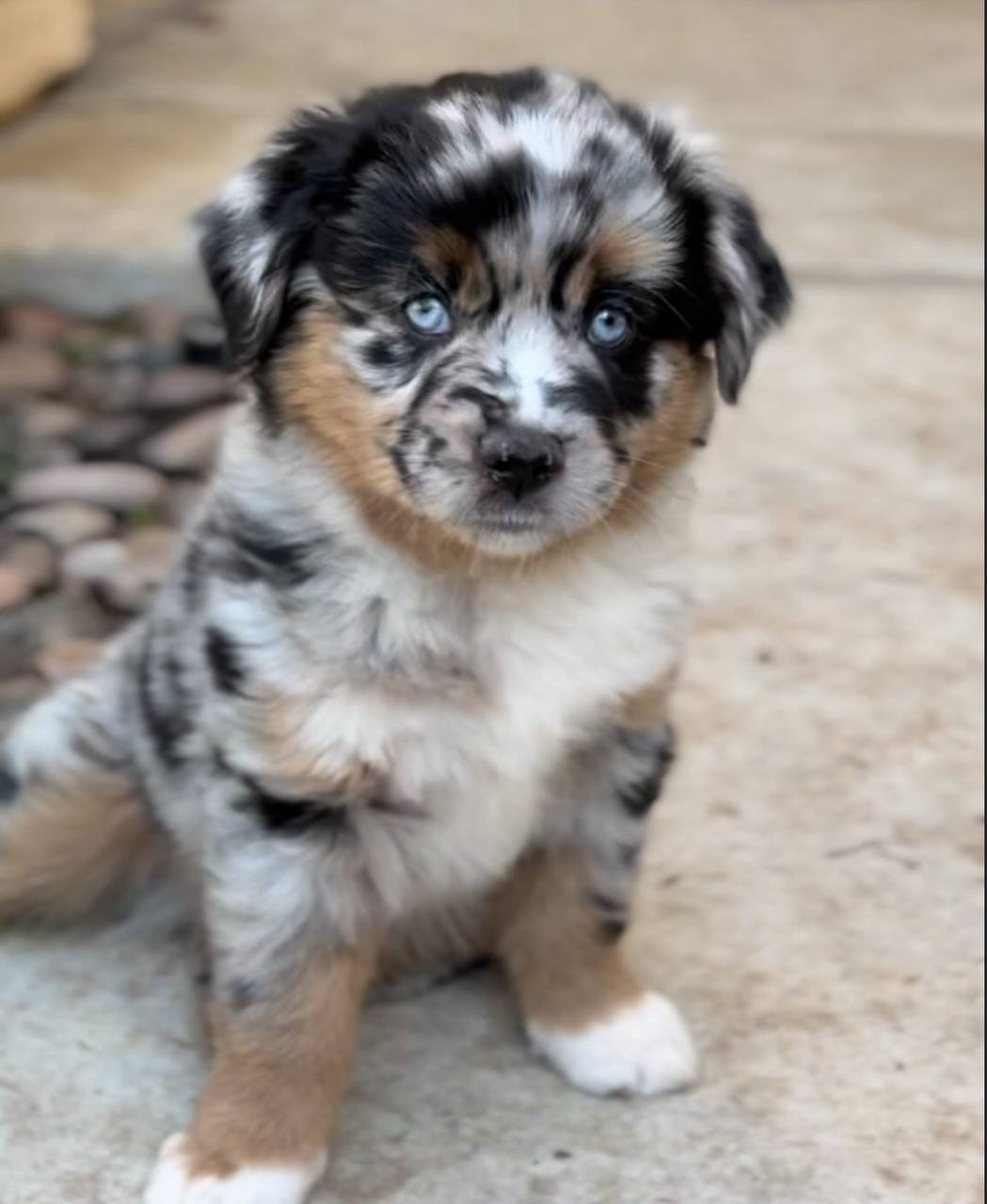 photo_1_2026-04-21_13-27-14