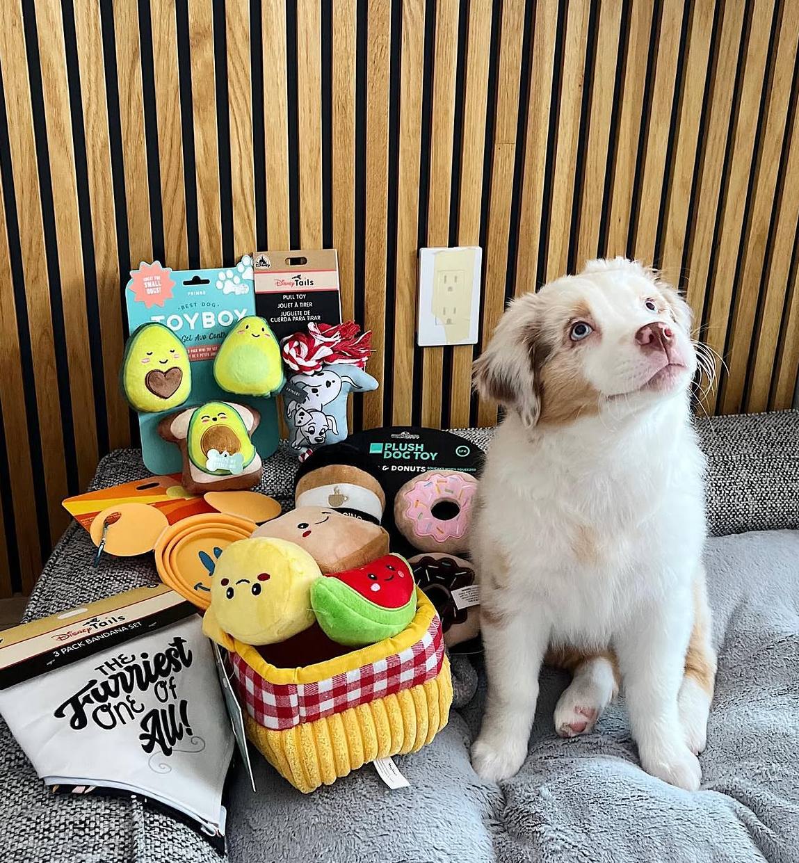 photo_1_2026-04-21_16-44-11