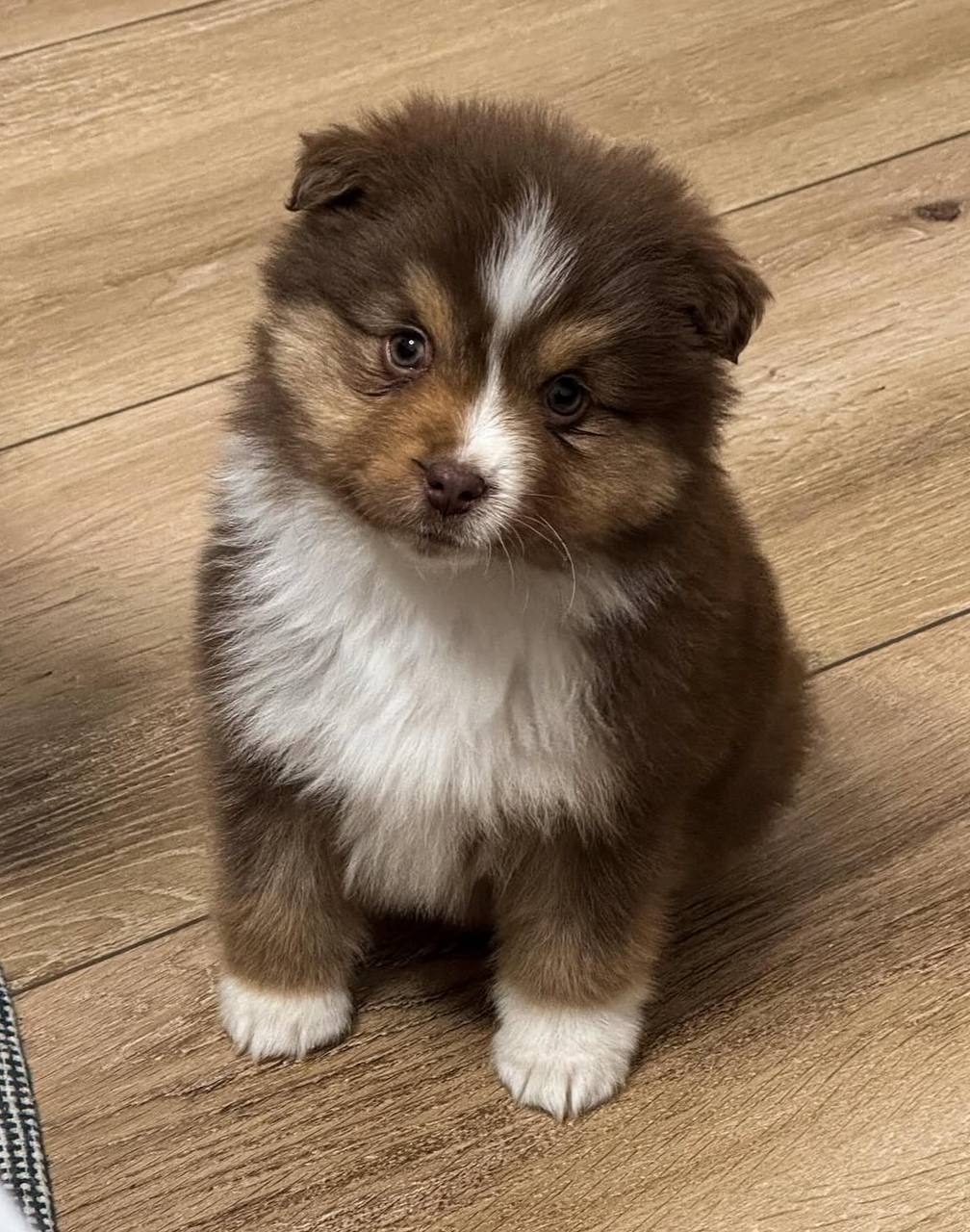 photo_1_2026-04-21_16-44-43