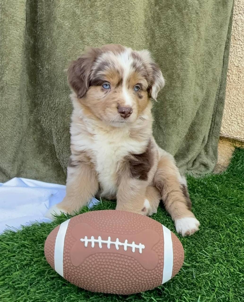 photo_2_2026-04-21_13-05-37