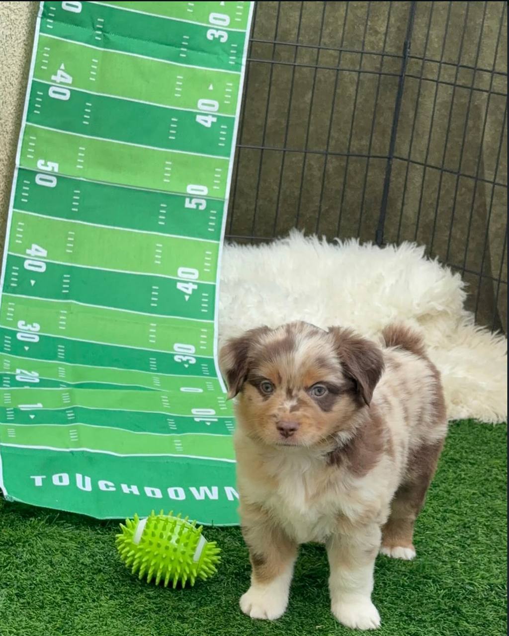 photo_2_2026-04-21_13-13-35