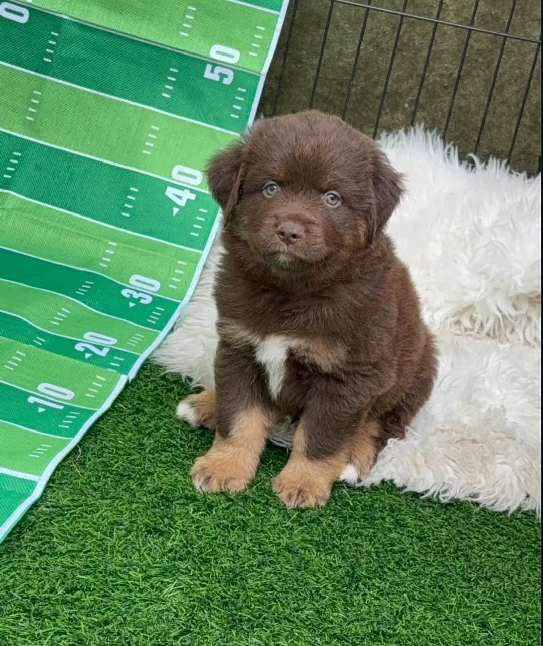 photo_2_2026-04-21_13-15-27