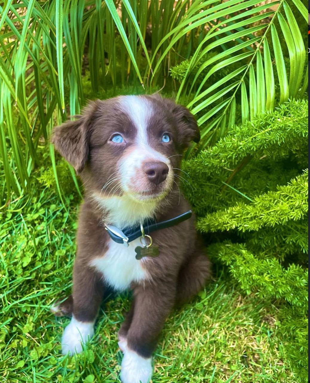 photo_2_2026-04-21_13-18-29