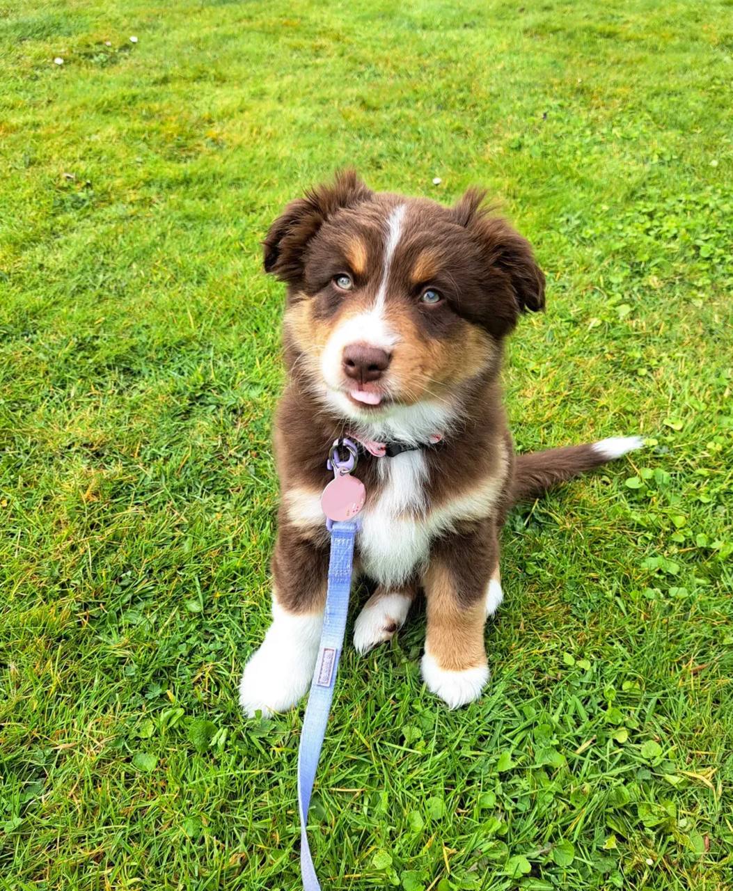 photo_2_2026-04-21_13-19-45