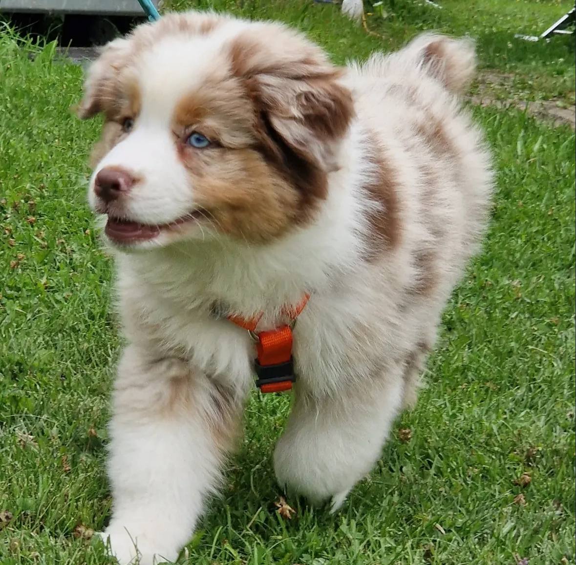 photo_2_2026-04-21_13-21-08