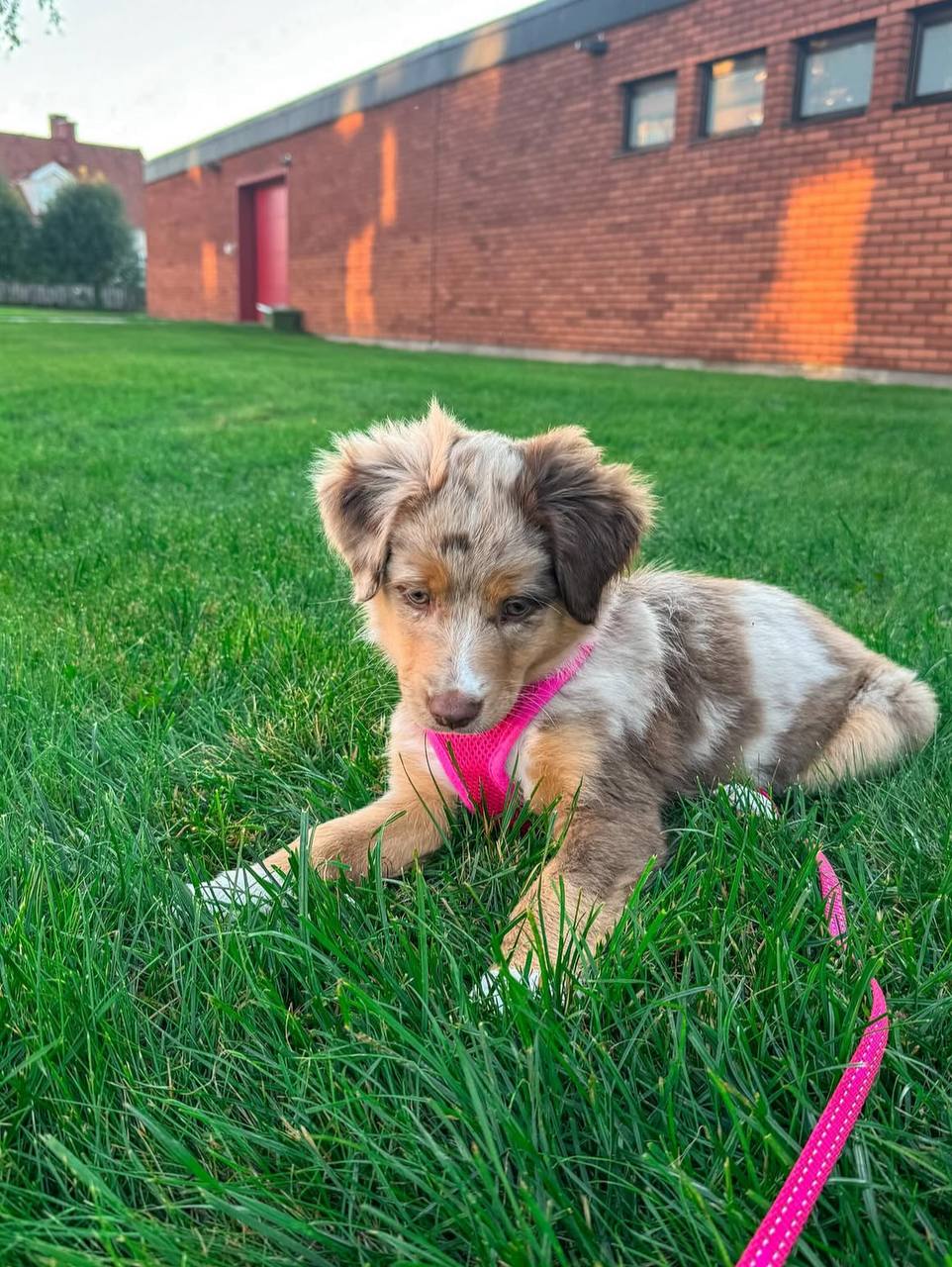 photo_2_2026-04-21_13-22-38
