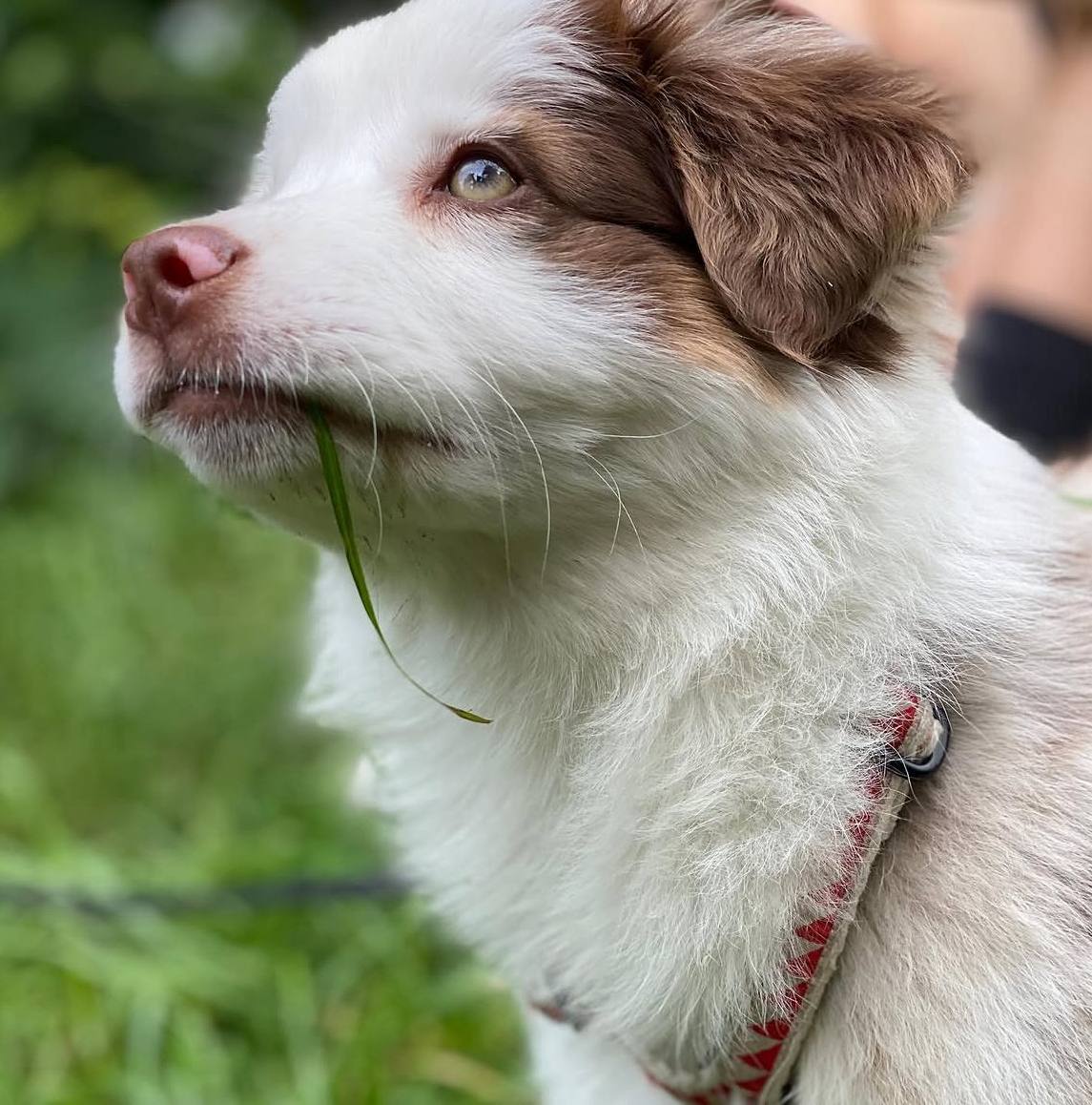 photo_2_2026-04-21_13-23-55