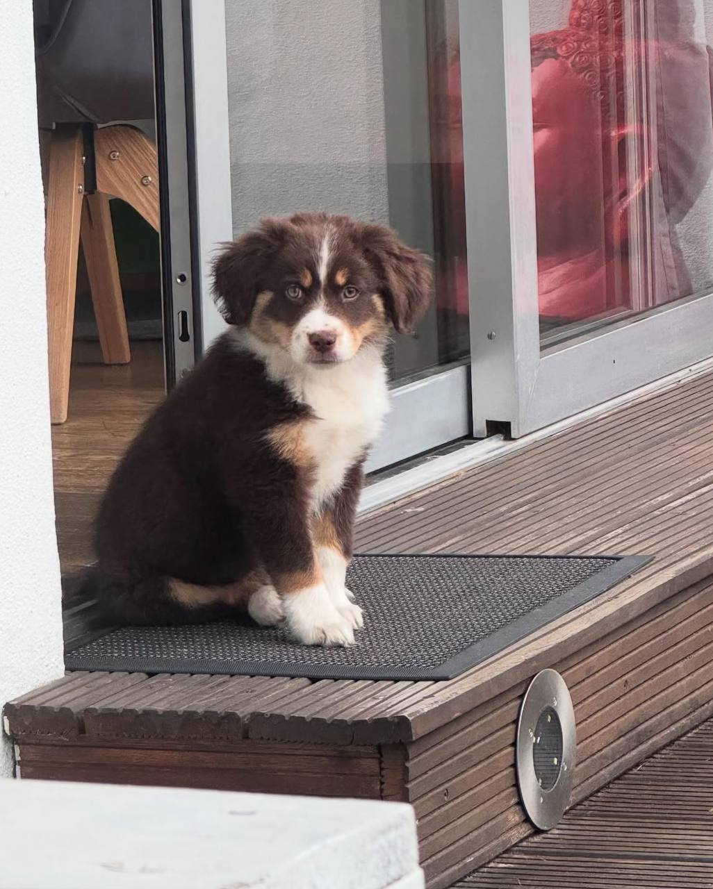 photo_2_2026-04-21_13-25-06