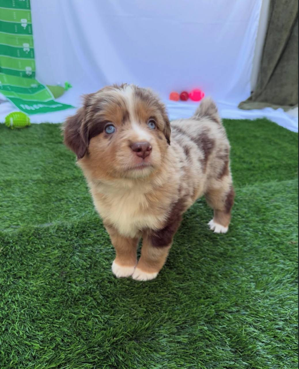 photo_3_2026-04-21_13-05-37