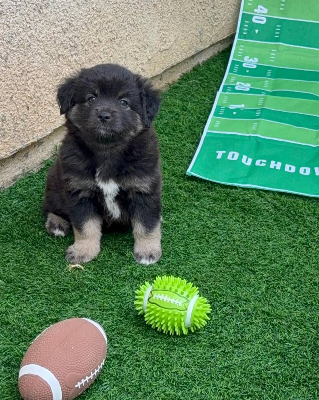 photo_3_2026-04-21_13-08-18