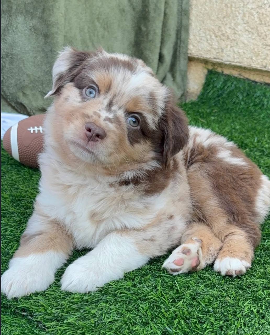 photo_3_2026-04-21_13-13-35