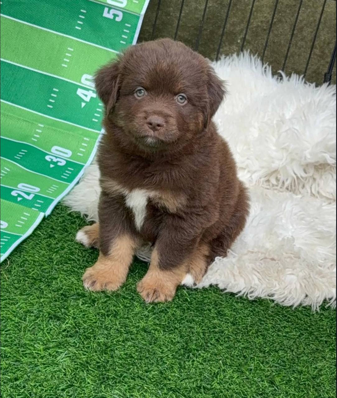 photo_3_2026-04-21_13-15-27