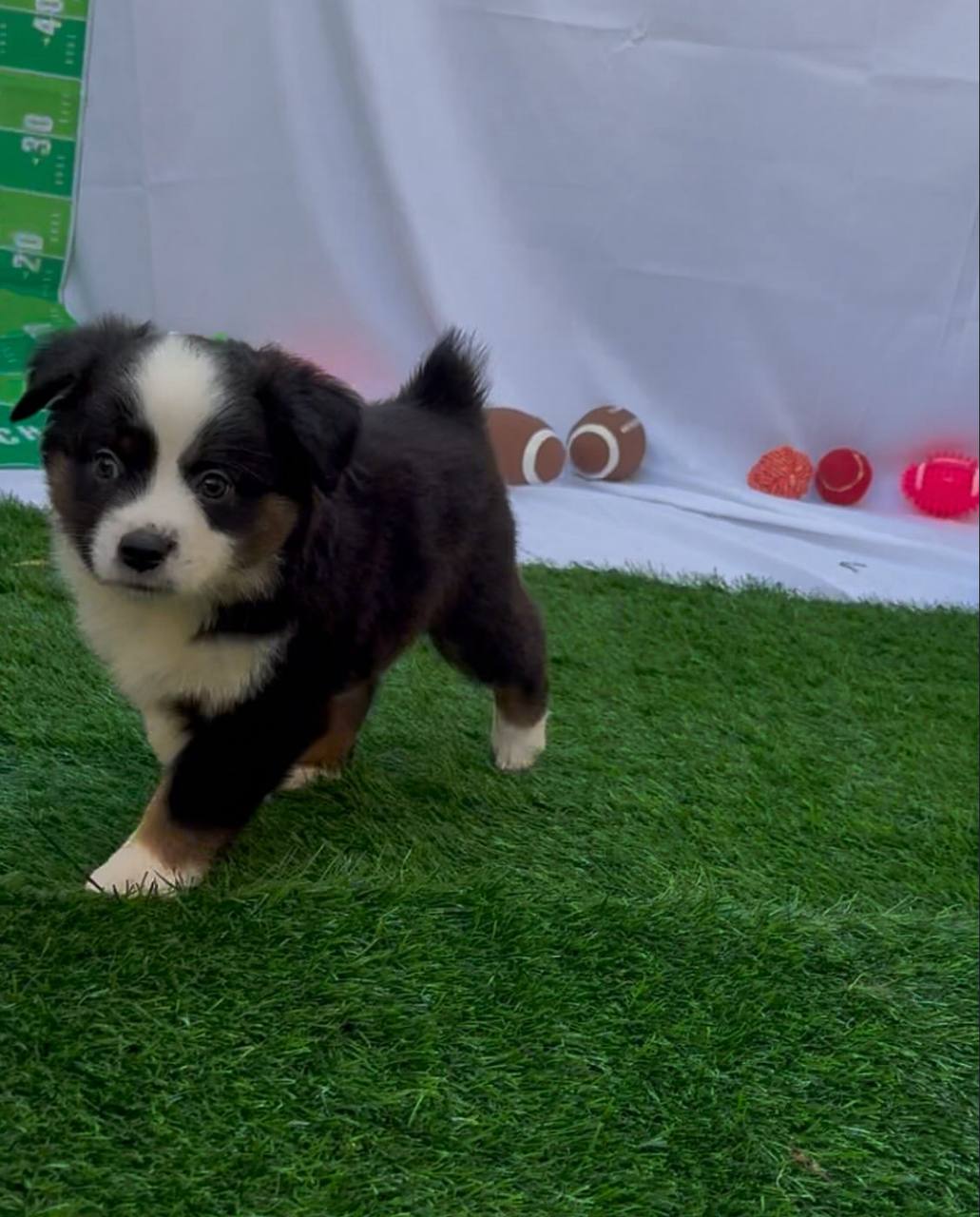 photo_3_2026-04-21_13-17-07