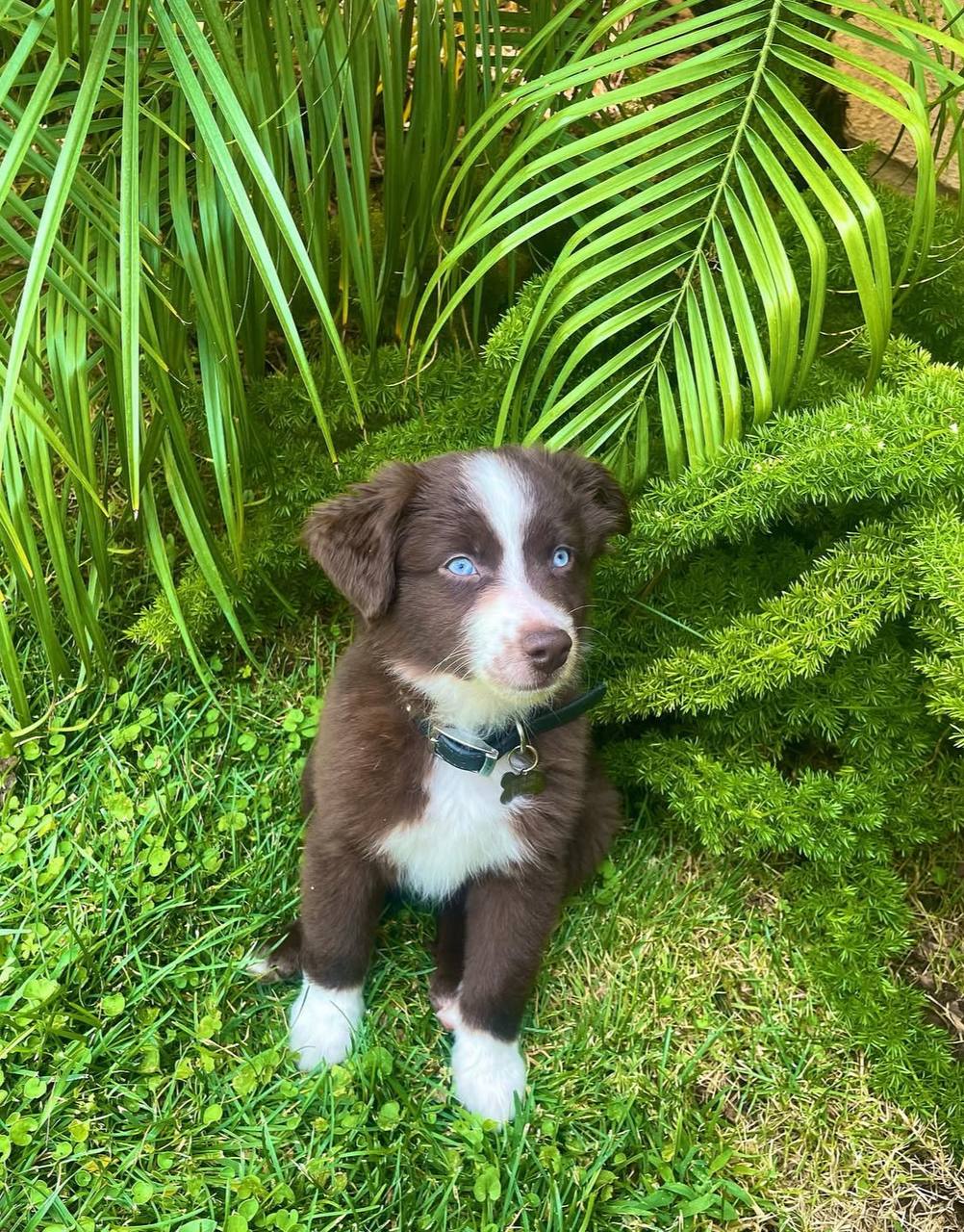 photo_3_2026-04-21_13-18-29