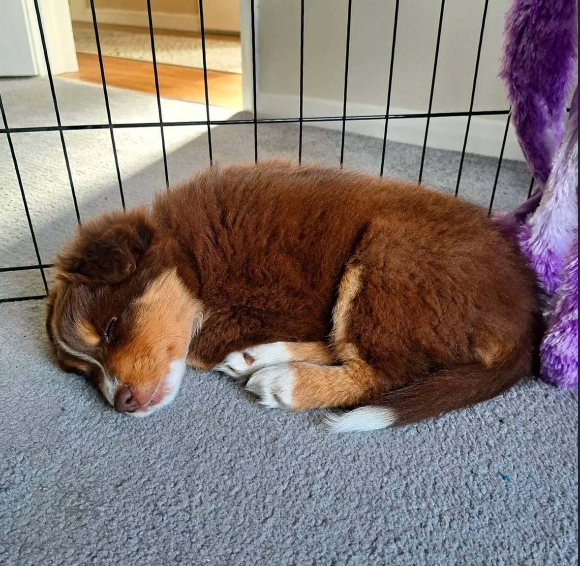 photo_3_2026-04-21_13-19-45