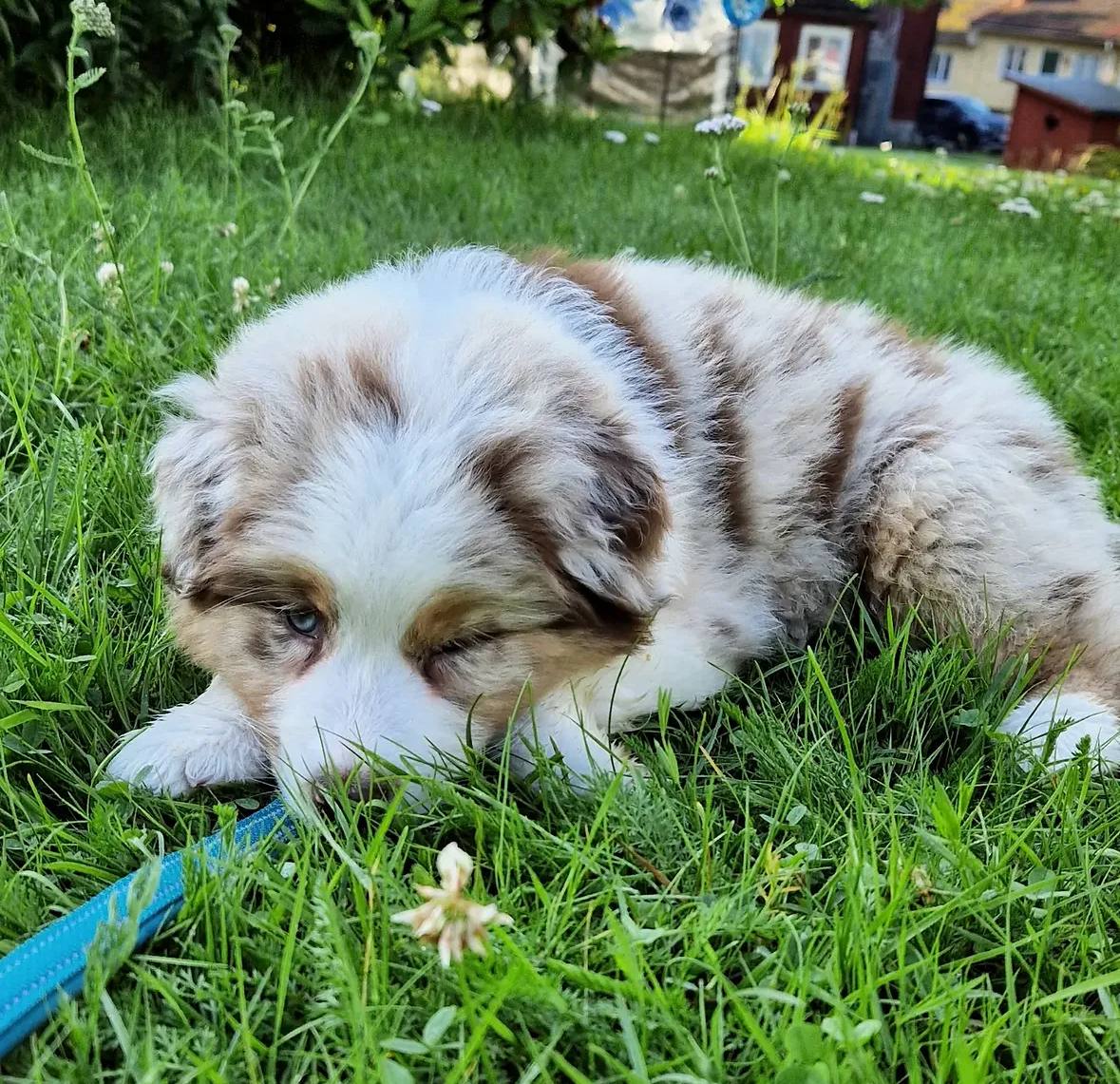 photo_3_2026-04-21_13-21-08