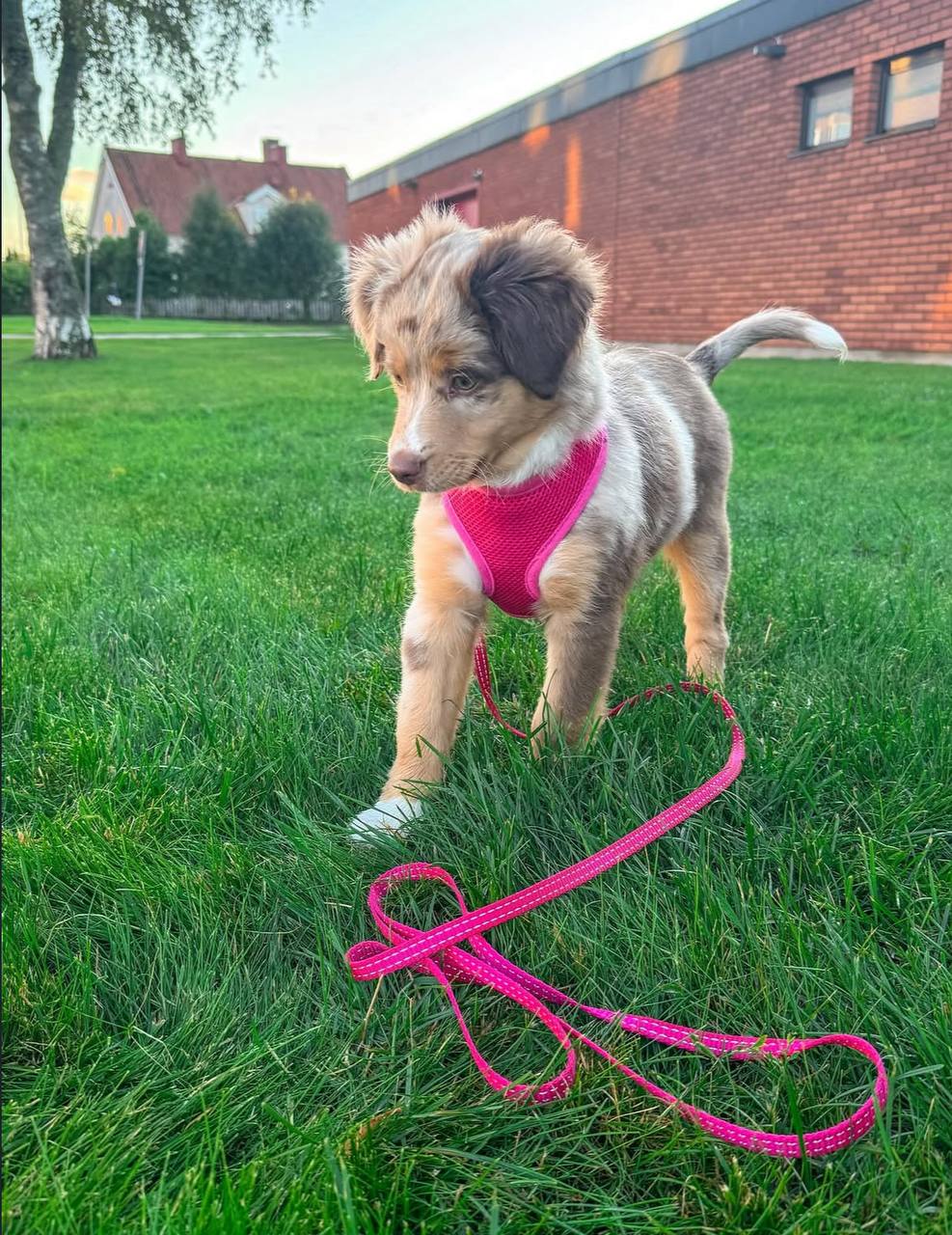 photo_3_2026-04-21_13-22-38