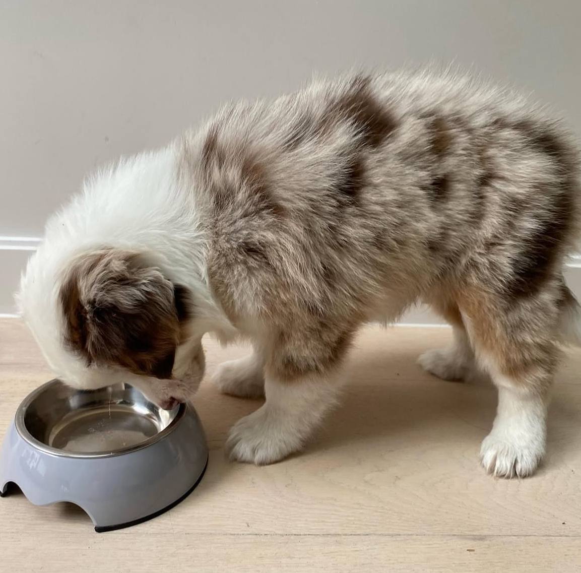 photo_3_2026-04-21_13-23-55