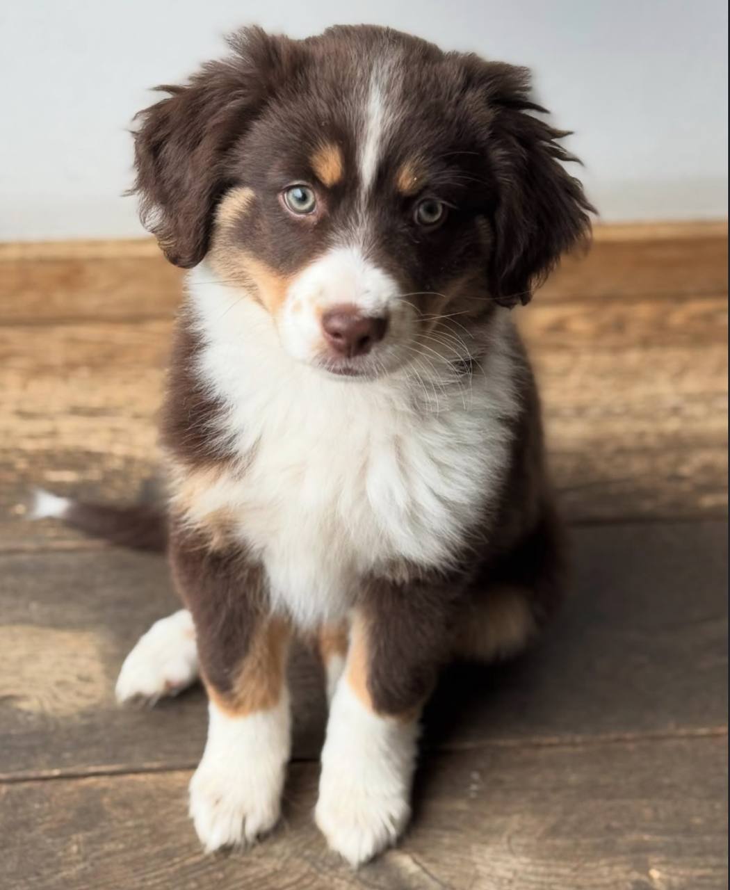 photo_3_2026-04-21_13-25-06